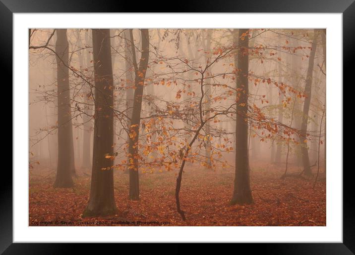 Autumn Beech Tree Framed Mounted Print by Simon Johnson