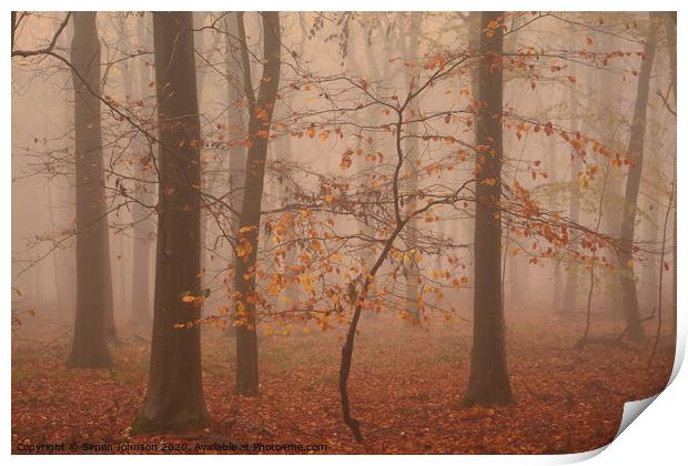 Autumn Beech Tree Print by Simon Johnson