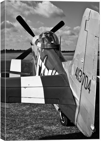Ferocious Frankie BW Canvas Print by Oxon Images