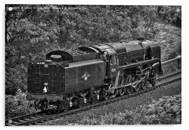 British Railways 9F - Black and White Acrylic by Steve H Clark