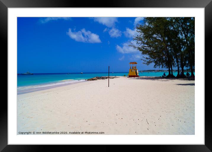 Miami Beach in Barbados Framed Mounted Print by Ann Biddlecombe