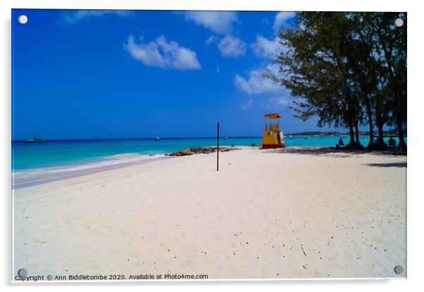 Miami Beach in Barbados Acrylic by Ann Biddlecombe