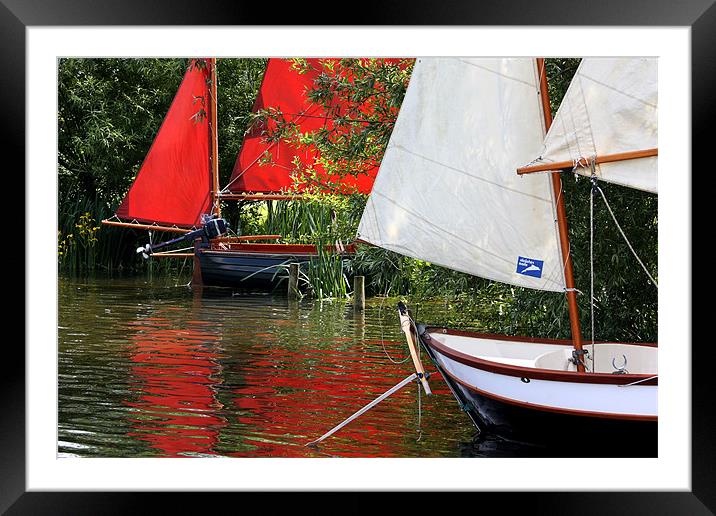 Sail Boats Framed Mounted Print by Tony Bates