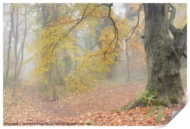 Autumn Mists Print by Richard Burdon