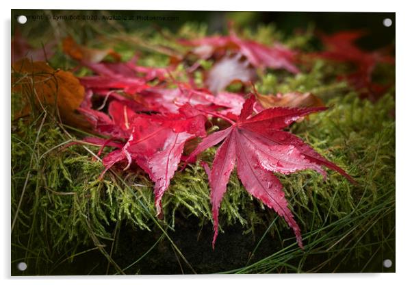Autumn Leaves Acrylic by Lynn Bolt