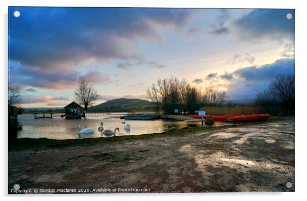 Sunset and Swans, Llangorse Lake Acrylic by Gordon Maclaren