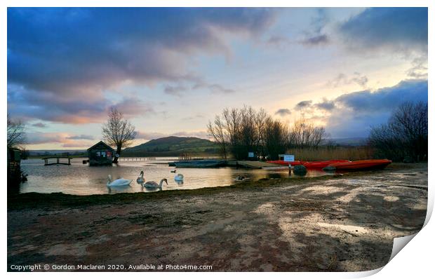 Sunset and Swans, Llangorse Lake Print by Gordon Maclaren
