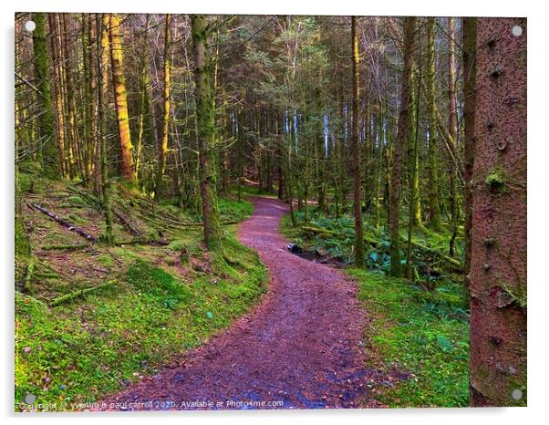 A walk in the woods Acrylic by yvonne & paul carroll