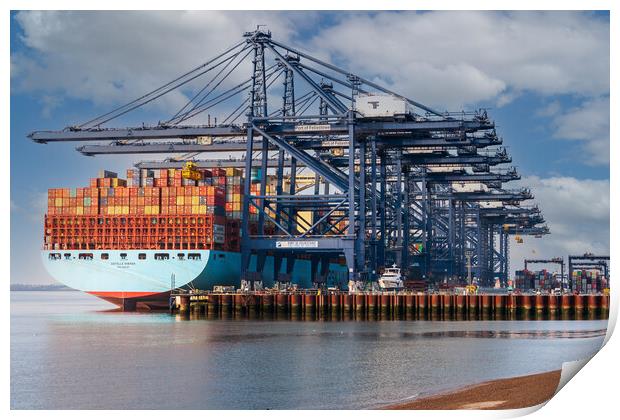 Majestic vessel docks in Felixstowe Print by Kevin Snelling