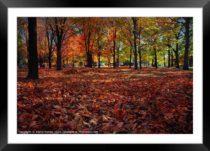 Ground Level Framed Mounted Print by Elaine Manley