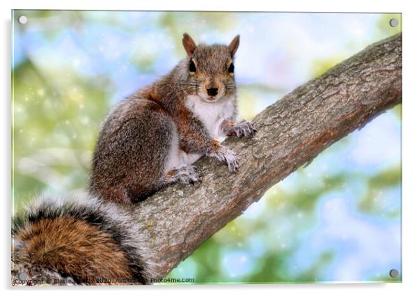 I will pose for a peanut Acrylic by Elaine Manley