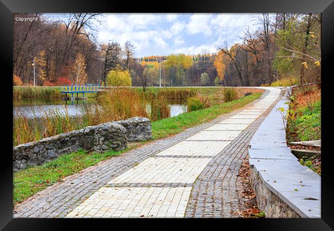 The paving slabs road with a framing of cobblestone leaves into the city autumn park Framed Print by Sergii Petruk