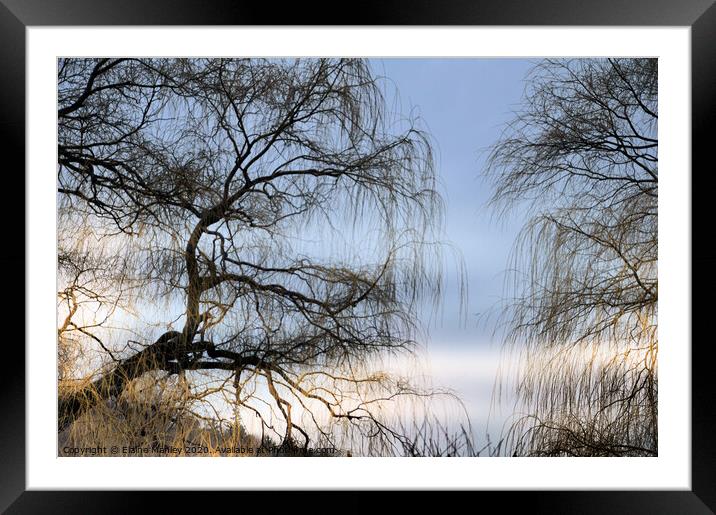Misty Day on the Pond Framed Mounted Print by Elaine Manley