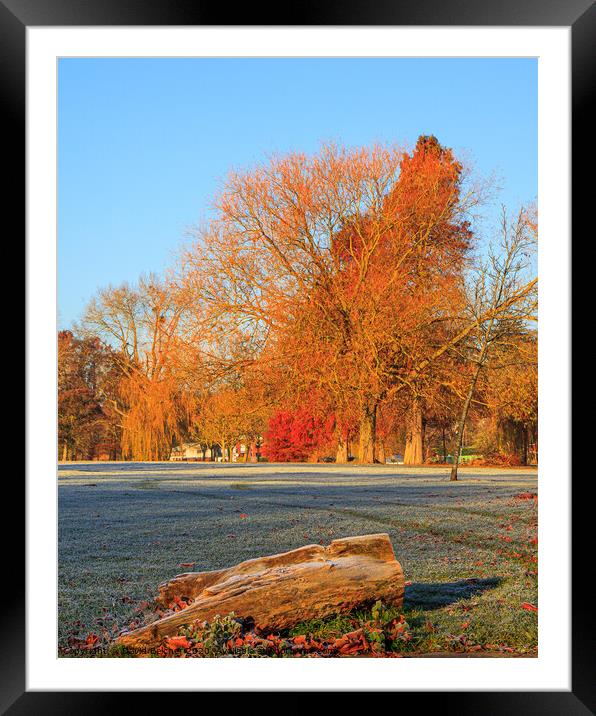 Autumn colour on a frosty morning Framed Mounted Print by David Belcher