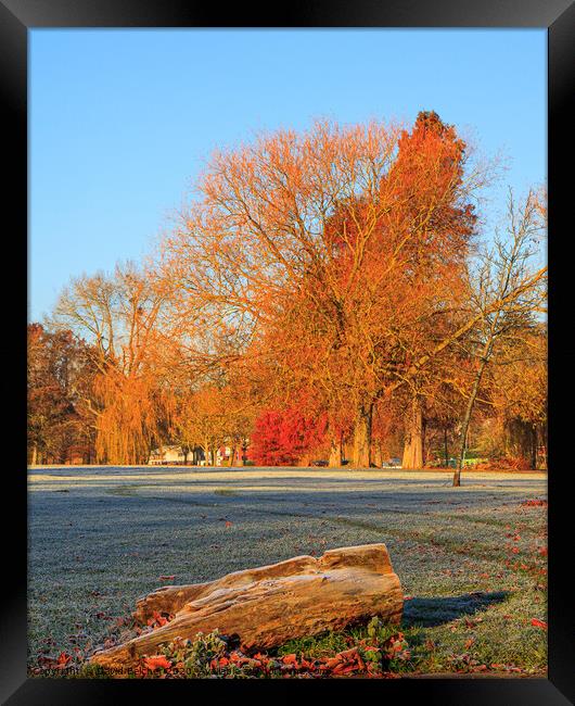 Autumn colour on a frosty morning Framed Print by David Belcher