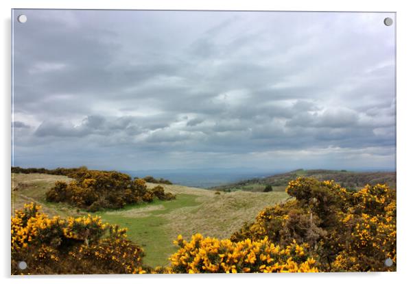 View from Cleeve Common Acrylic by Susan Snow