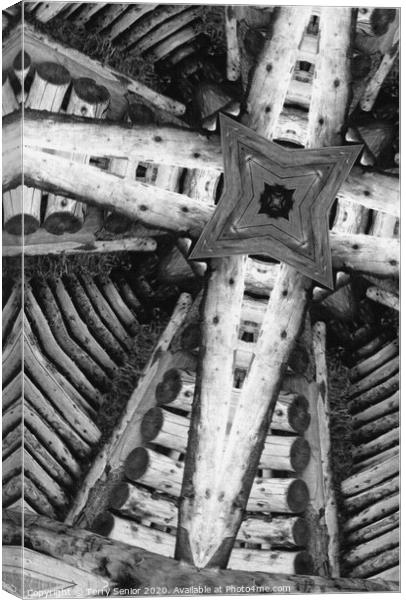 Abstract "Timber Framed" #wood #kaleidoscope #BW Canvas Print by Terry Senior