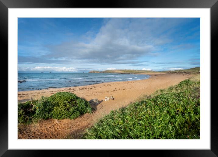 Constantine bay and trevose head cornwall  Framed Mounted Print by Eddie John