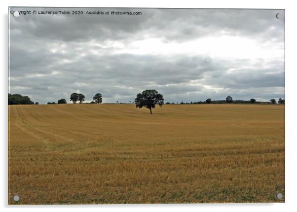 Solitary Tree In Mown Field, Essex Acrylic by Laurence Tobin