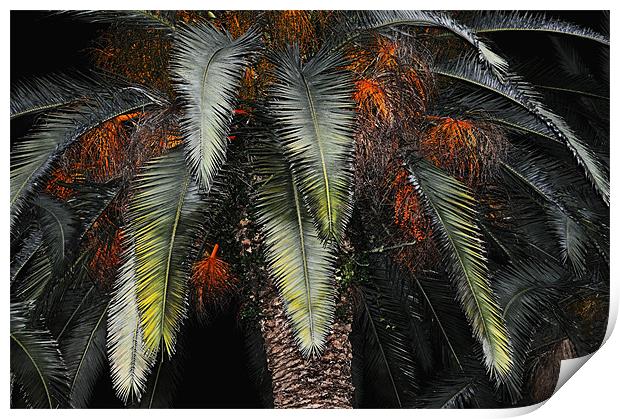 Date Palm Print by Karen Martin