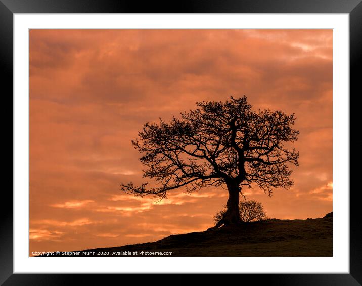 Peak District Sunrise tree Framed Mounted Print by Stephen Munn