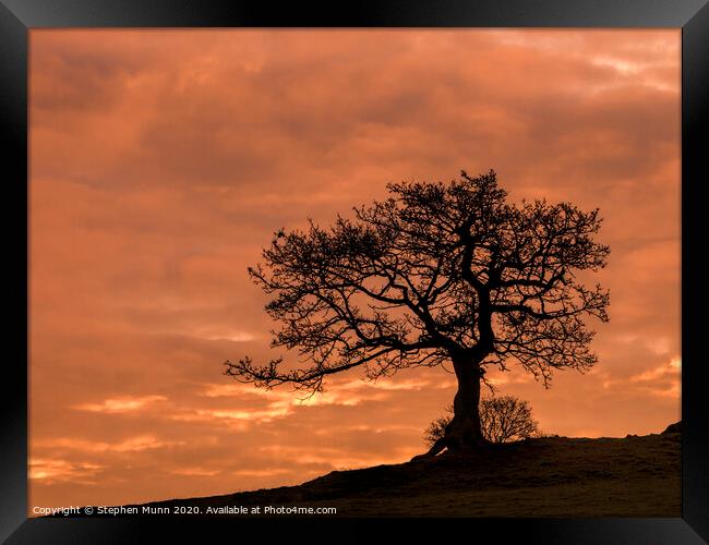 Peak District Sunrise tree Framed Print by Stephen Munn