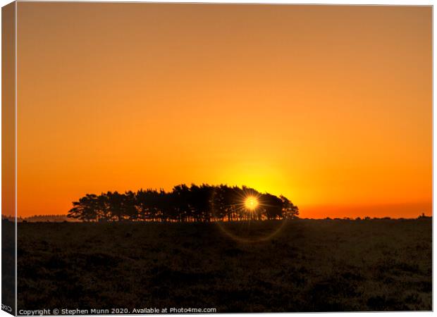 Tree clump at dawn, New Forest National Park Canvas Print by Stephen Munn
