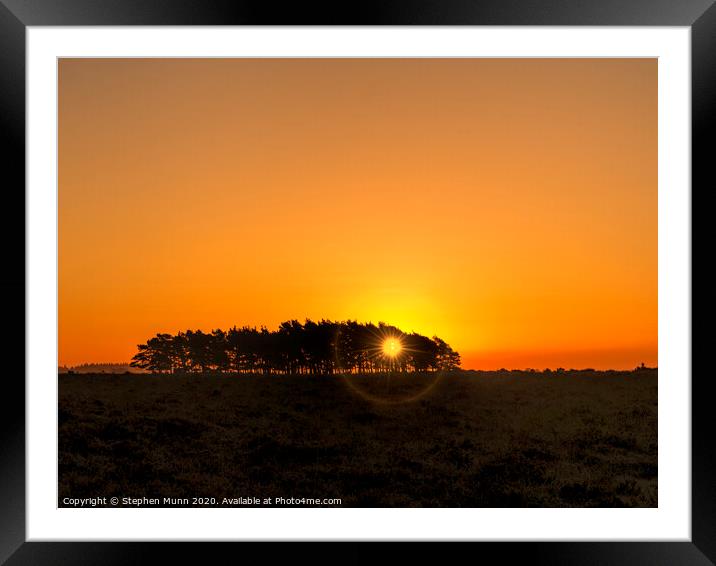 Tree clump at dawn, New Forest National Park Framed Mounted Print by Stephen Munn