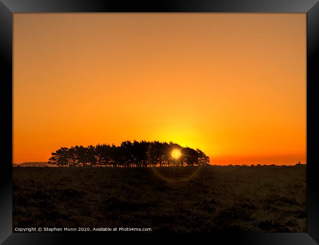 Tree clump at dawn, New Forest National Park Framed Print by Stephen Munn