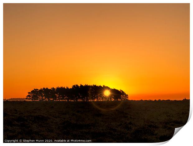 Tree clump at dawn, New Forest National Park Print by Stephen Munn