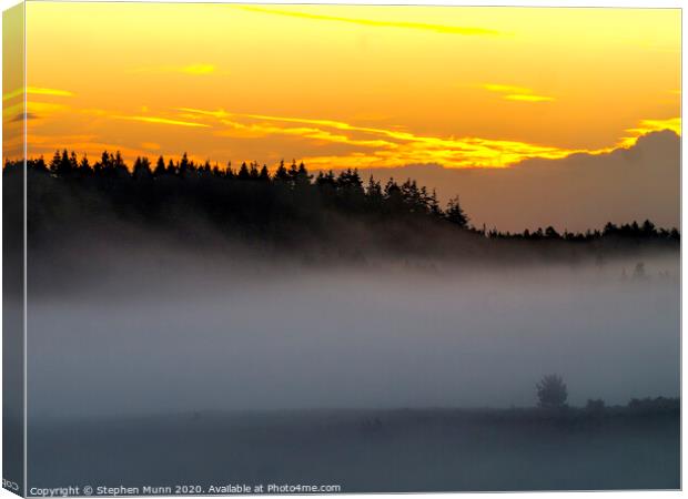Fritham Cross misty dawn, New Forest National Park Canvas Print by Stephen Munn