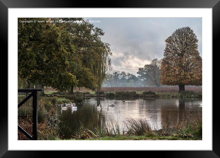 Bushy Park pond on a cold morning Framed Mounted Print by Kevin White
