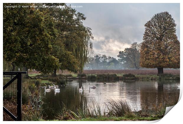 Bushy Park pond on a cold morning Print by Kevin White