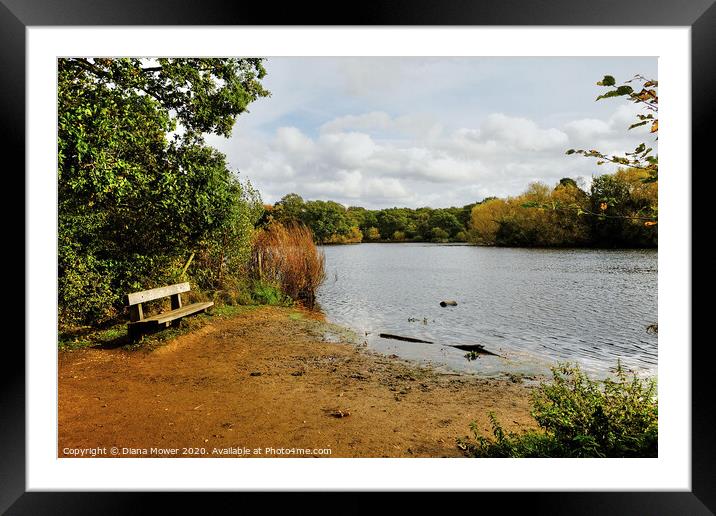 Connaught Water Epping Seat Framed Mounted Print by Diana Mower