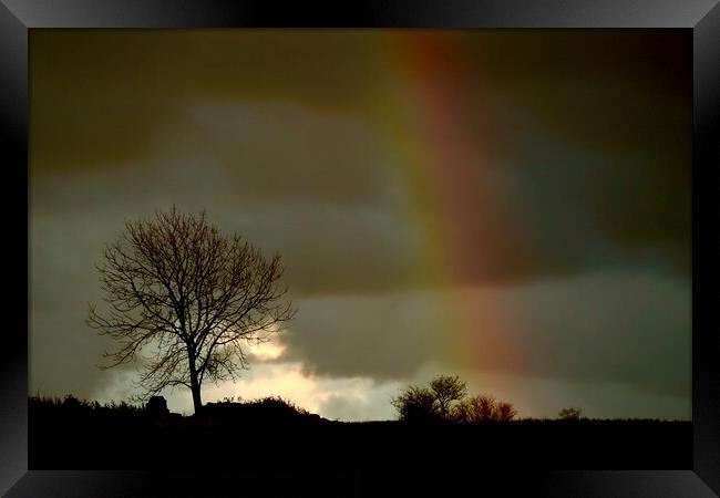 Cotswold rainbow Framed Print by Simon Johnson