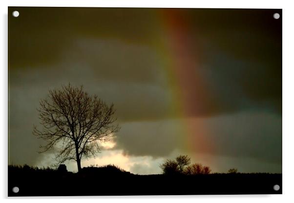 Cotswold rainbow Acrylic by Simon Johnson