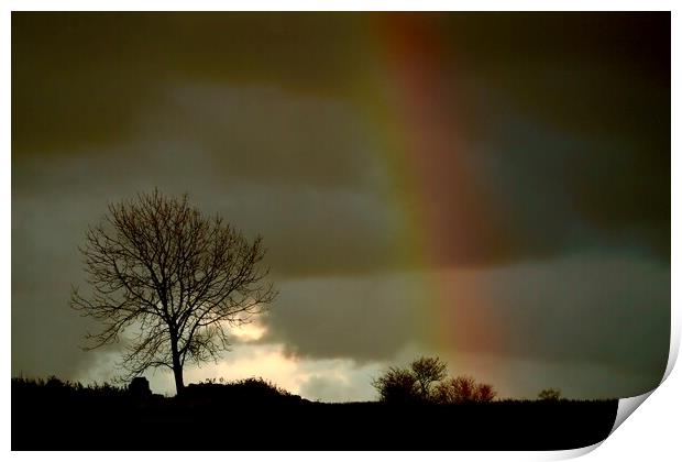 Cotswold rainbow Print by Simon Johnson