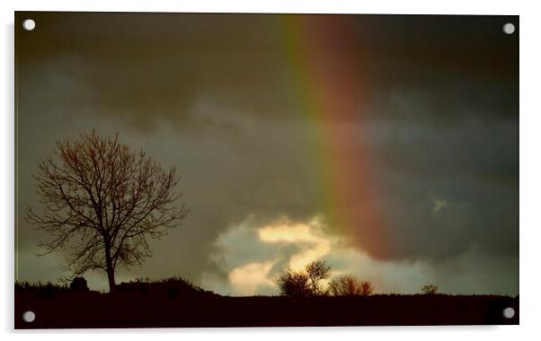 Rainbow C otswolds Acrylic by Simon Johnson