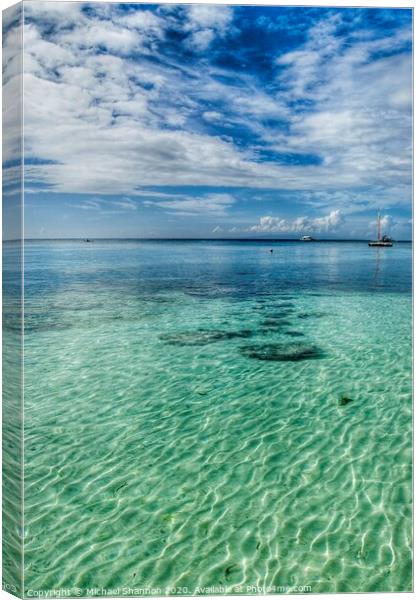Beautiful clear water off the beach in Panglao Isl Canvas Print by Michael Shannon