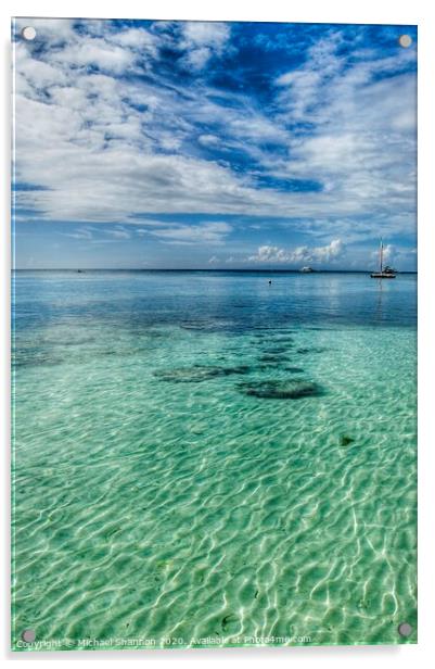 Beautiful clear water off the beach in Panglao Isl Acrylic by Michael Shannon