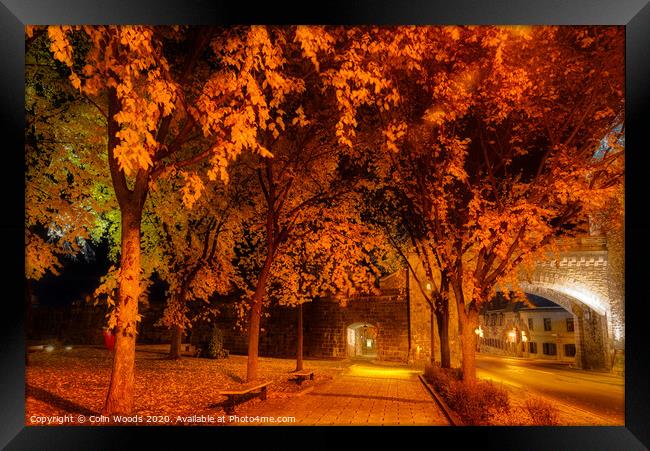 Porte St Louis, Quebec City, at night in autumn Framed Print by Colin Woods