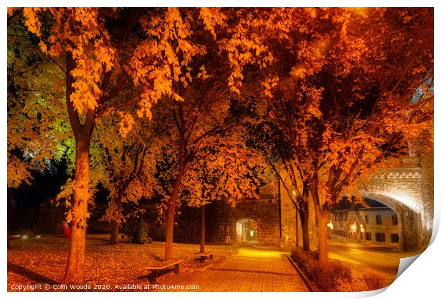 Porte St Louis, Quebec City, at night in autumn Print by Colin Woods