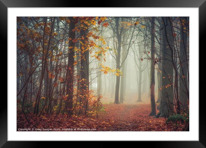 End of Autumn Framed Mounted Print by Craig Doogan