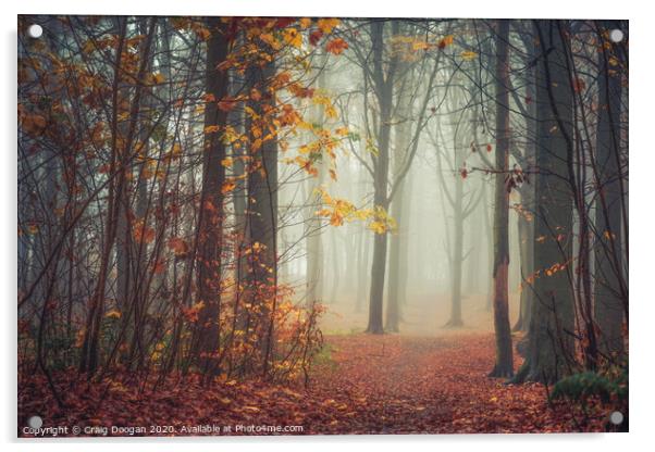 End of Autumn Acrylic by Craig Doogan