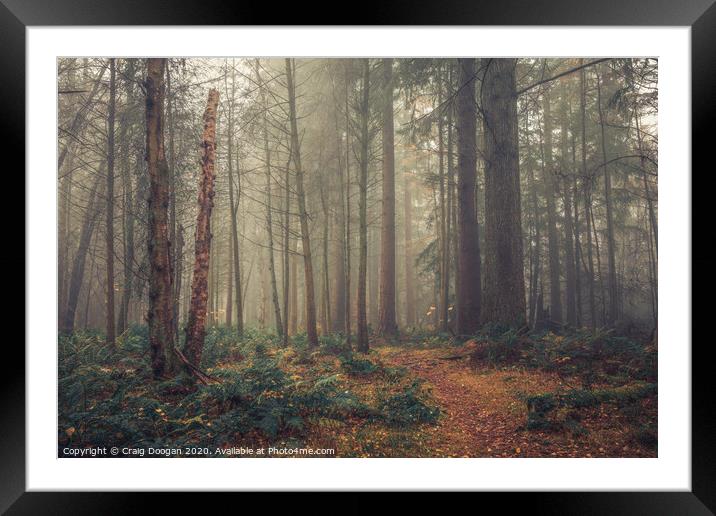Misty Forest Framed Mounted Print by Craig Doogan