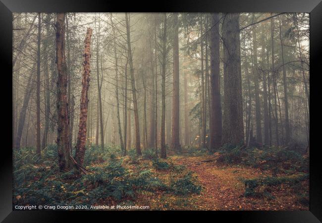 Misty Forest Framed Print by Craig Doogan