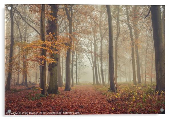 Foggy Autumnal Forest Acrylic by Craig Doogan