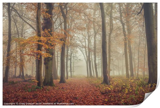 Foggy Autumnal Forest Print by Craig Doogan