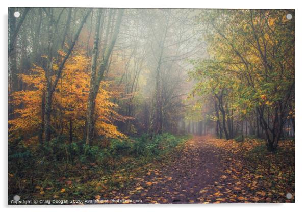 Autumnal Stroll Acrylic by Craig Doogan