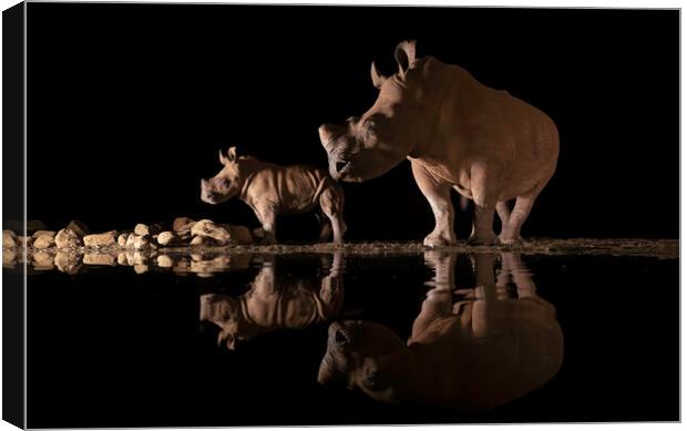 Rino Reflections Canvas Print by Pam Mullins